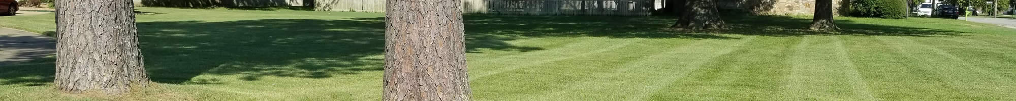 Lawn Care Landscaping Services Poplar Bluff