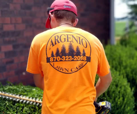 Affordable Tree Trimming Paragould